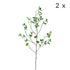 2pc Artificial Faux Aglaia Odorata Tree Branch Stem Set