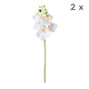 2pc Artificial Butterfly Orchid Flower Set