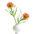 2pc Artificial Pincushion Flower Set