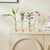 2pc Test Tube Stem Vase with Bamboo Base Set