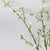 3pc Artificial White Fontanesia Fortunei Plant Set