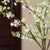 3pc Artificial White Fontanesia Fortunei Plant Set