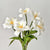 5pc Artificial Blooming Tulip Flower Bouquet Set