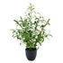 60cm Artificial Olive Leaf Potted Plant