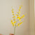 6pc Artificial Golden Shower Oncidium Orchid Plant Set