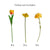 8pc Artificial Tulip Poppy Carnation Flower Set