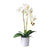 Artificial Potted Double Stem Orchid