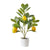 Artificial Potted Lemon Raspberry Tree Plant