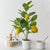 Artificial Potted Lemon Raspberry Tree Plant