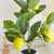 Artificial Potted Lemon Raspberry Tree Plant