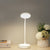 Reading Lamp with Adjustable LED Light