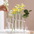 6 Test Tube Stem Vase With Holder Stand