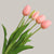 5pc Artificial Tulip Bunch Set