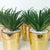 Artificial Yucca Succulent Plant with Gold Pot