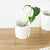Nordic White Succulent Planter Flower Plant Pot with Gold Holder Stand