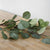 Artificial Eucalyptus Leaf
