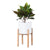 White Plant Pot with Wooden Stand