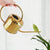 Vintage Gold Watering Can